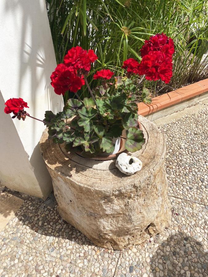 Вілла Il Giardino Di Bonagia Tonnara di Bonagia Екстер'єр фото