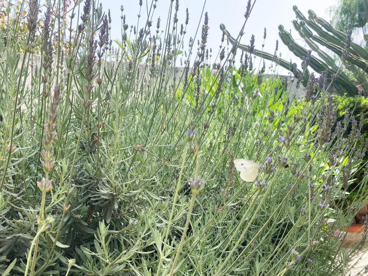 Вілла Il Giardino Di Bonagia Tonnara di Bonagia Екстер'єр фото