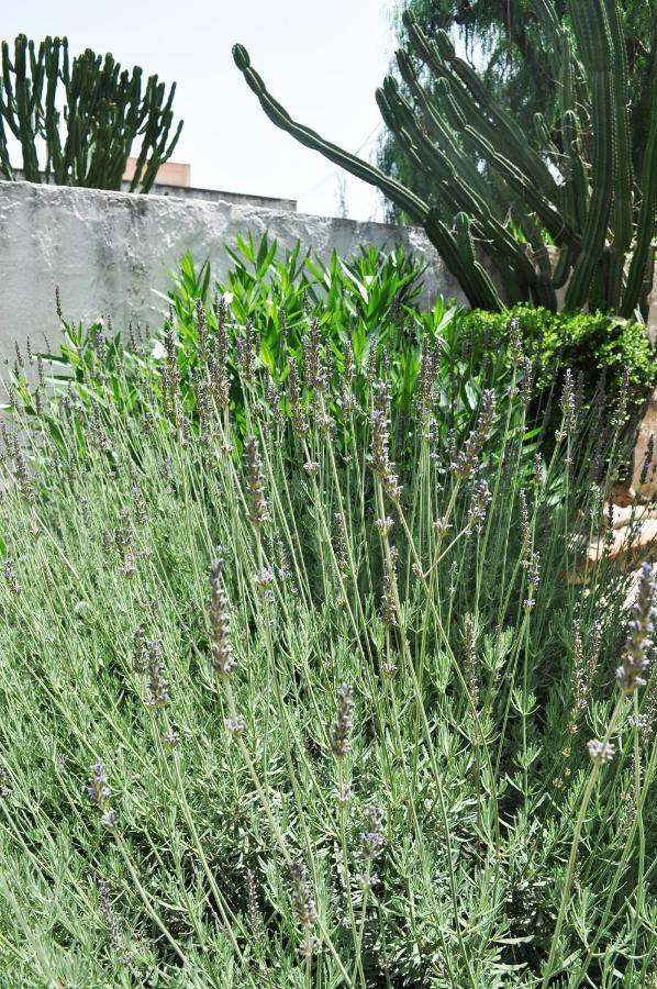 Вілла Il Giardino Di Bonagia Tonnara di Bonagia Екстер'єр фото
